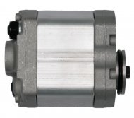 Насос шестеренчатый (чугун) 0301014 CBD-F203.3-L1BL-BA Насос шестеренчатый (чугун) 0301014 CBD-F203.3-L1BL-BA